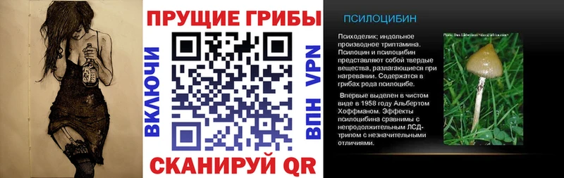 Псилоцибиновые грибы прущие грибы Володарск